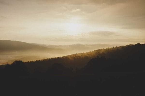 Photo of Queensland Farm Stay
